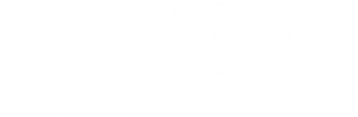 Visa logo representing payment and dispute services