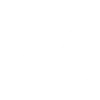 Dispute Resolution border strategy